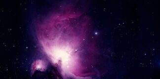 Jakie badania wykonuje pielęgniarka?