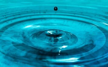 Co ma pozytywny wpływ na układ krwionośny? Co ma pozytywny wpływ na układ krwionośny?