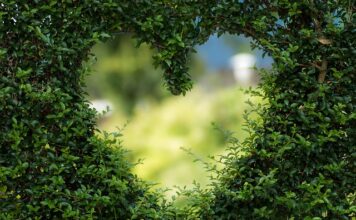 Co jeśli w 7 tyg ciąży nie słychać serca?