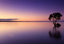 Jaką wodę wlewa się do termoforu?