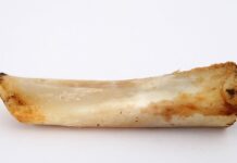 Co niszczy chrząstkę stawową?